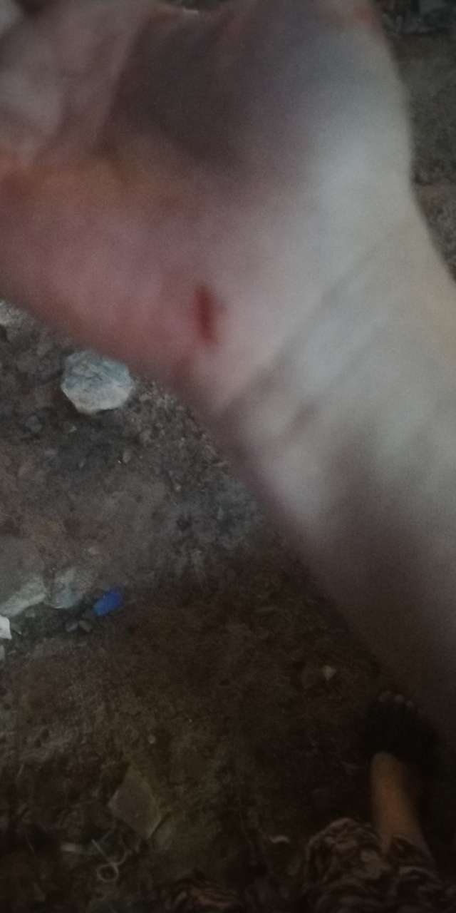20191106_163259_1573055037341.jpg
