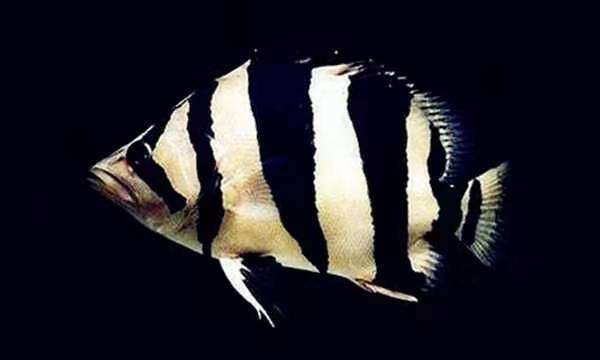 20191112_150856_1573562088150.jpg