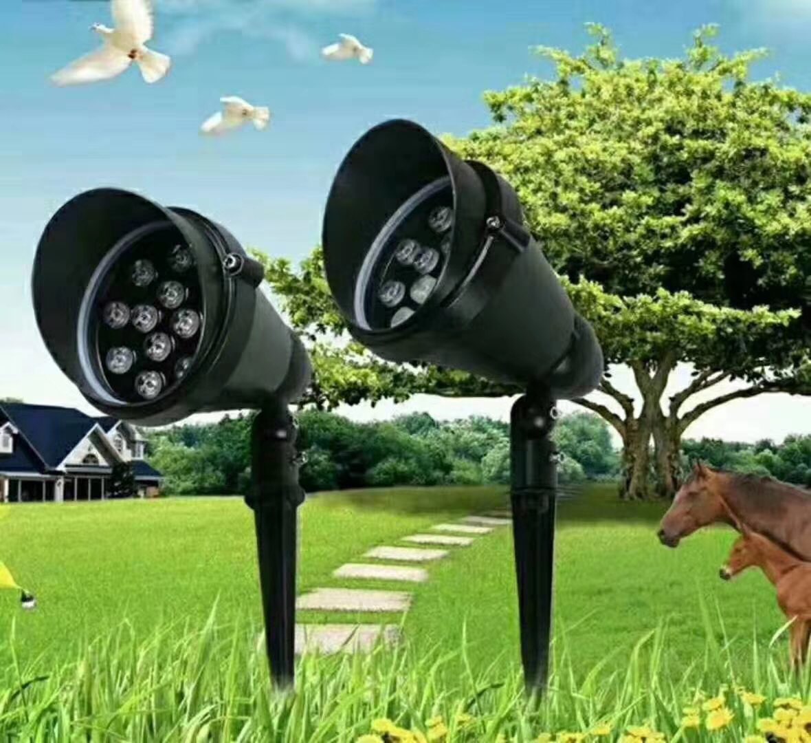 20191118147014157404637109239.jpg
