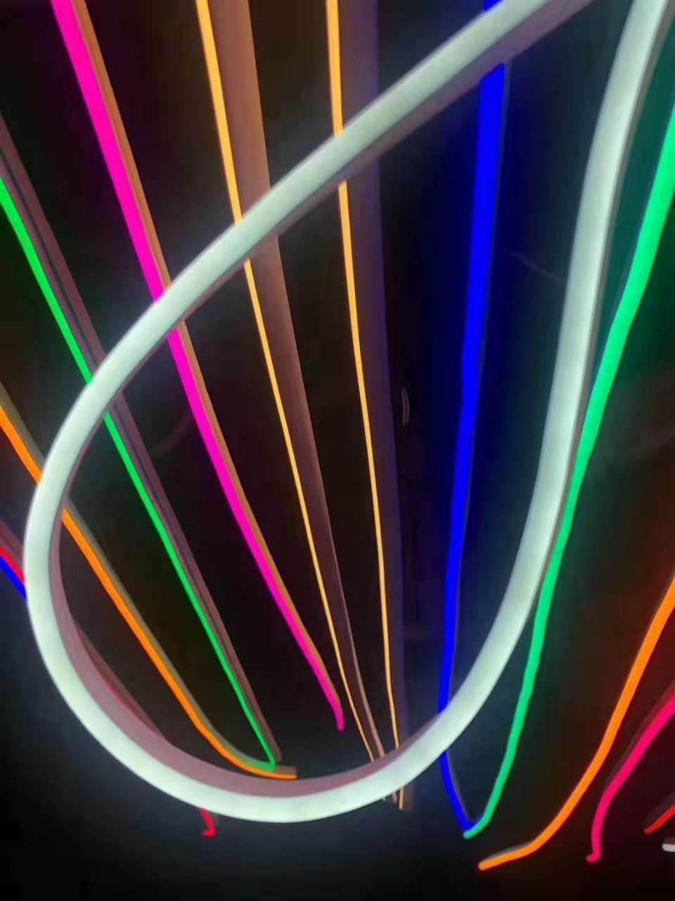 20191119_104325_1574129969674.jpg