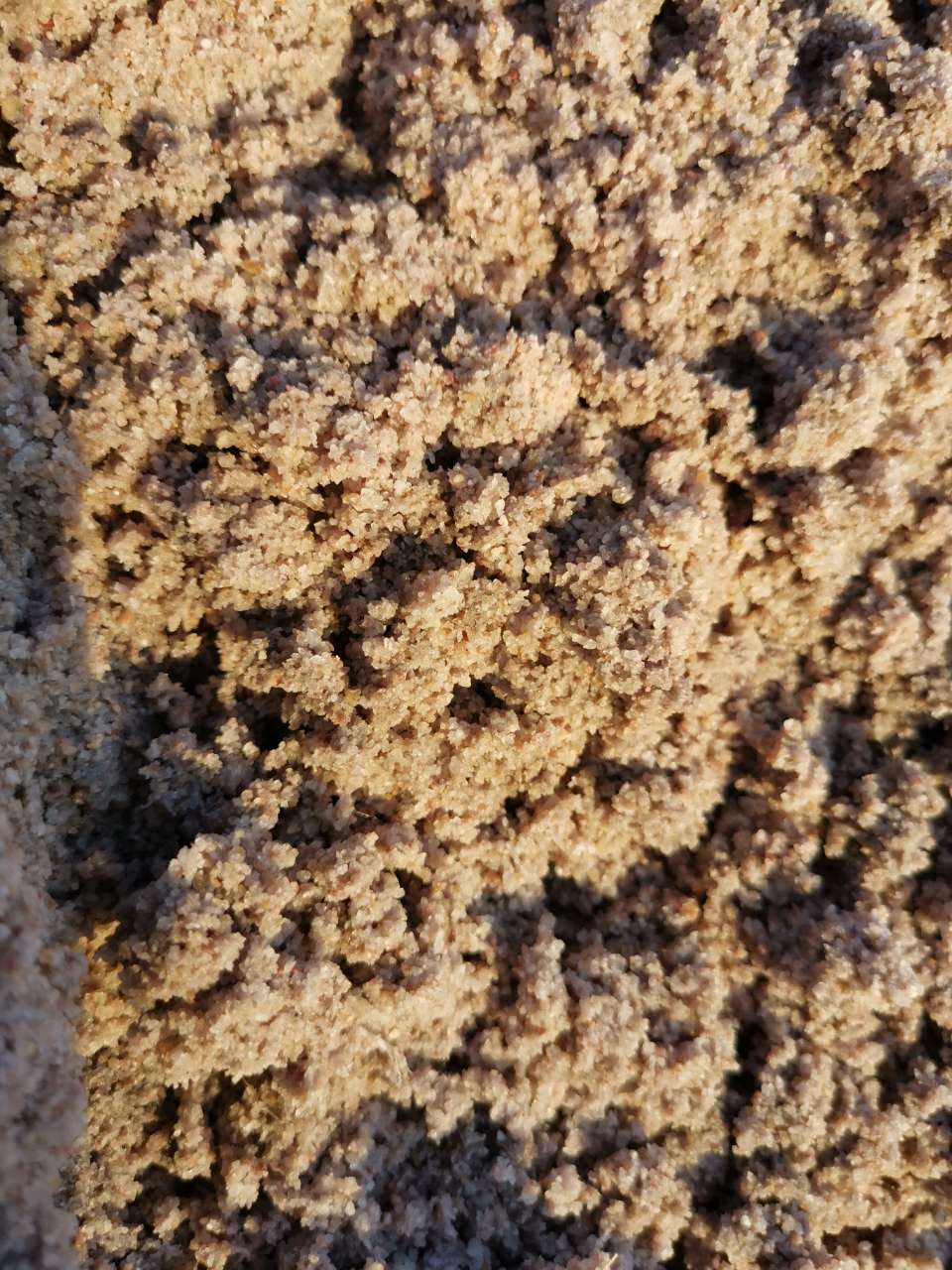 20191120_46513_1574239344901.jpg