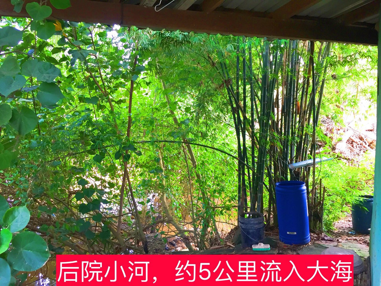菠菜大军都走了！柬埔寨沒生意可做？-1.jpg