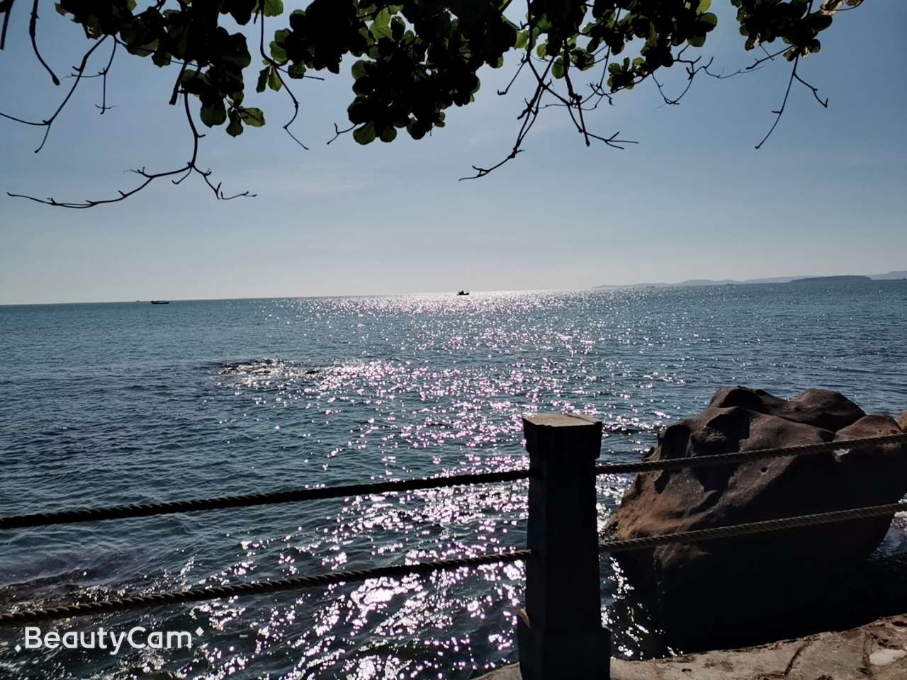 20191123_166525_1574504790300.jpg