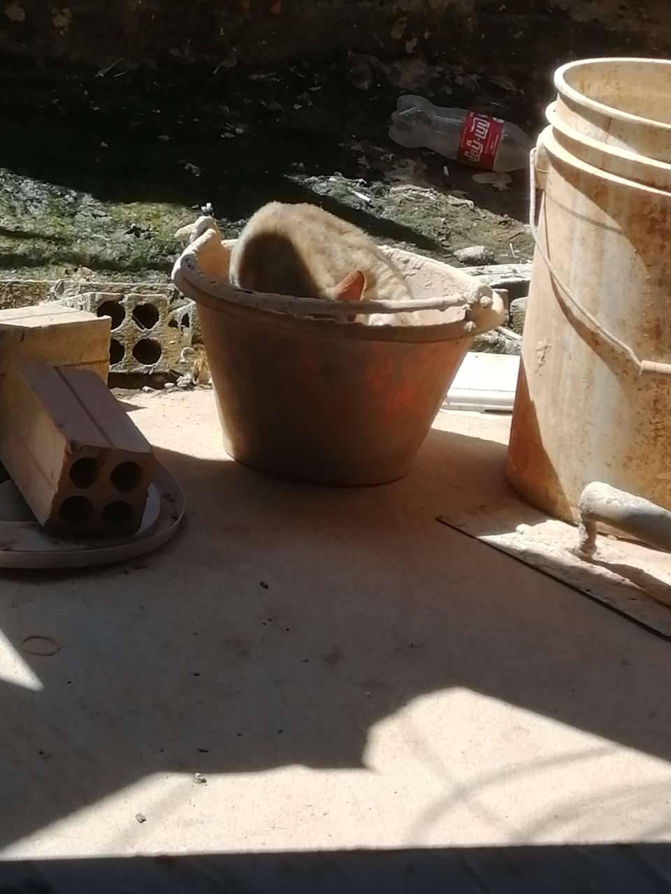 20191124_166160_1574571934333.jpg