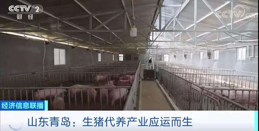 微信图片_20191201092440.jpg