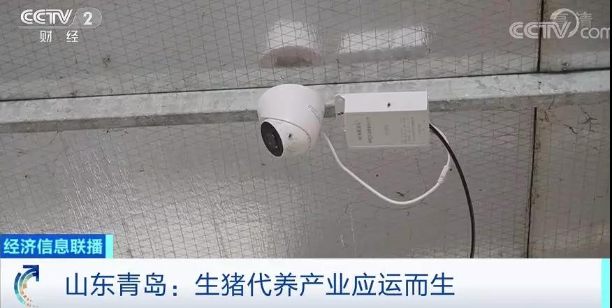 微信图片_20191201092445.jpg