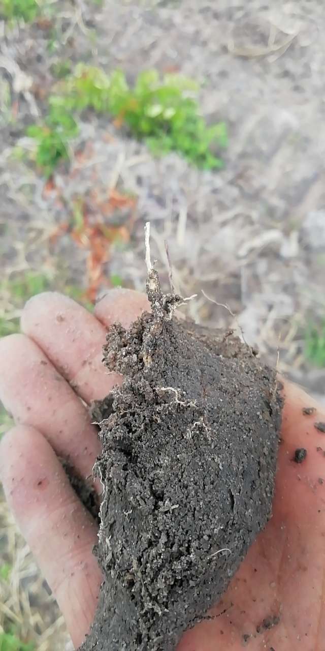 20191201_67855_1575213172442.jpg