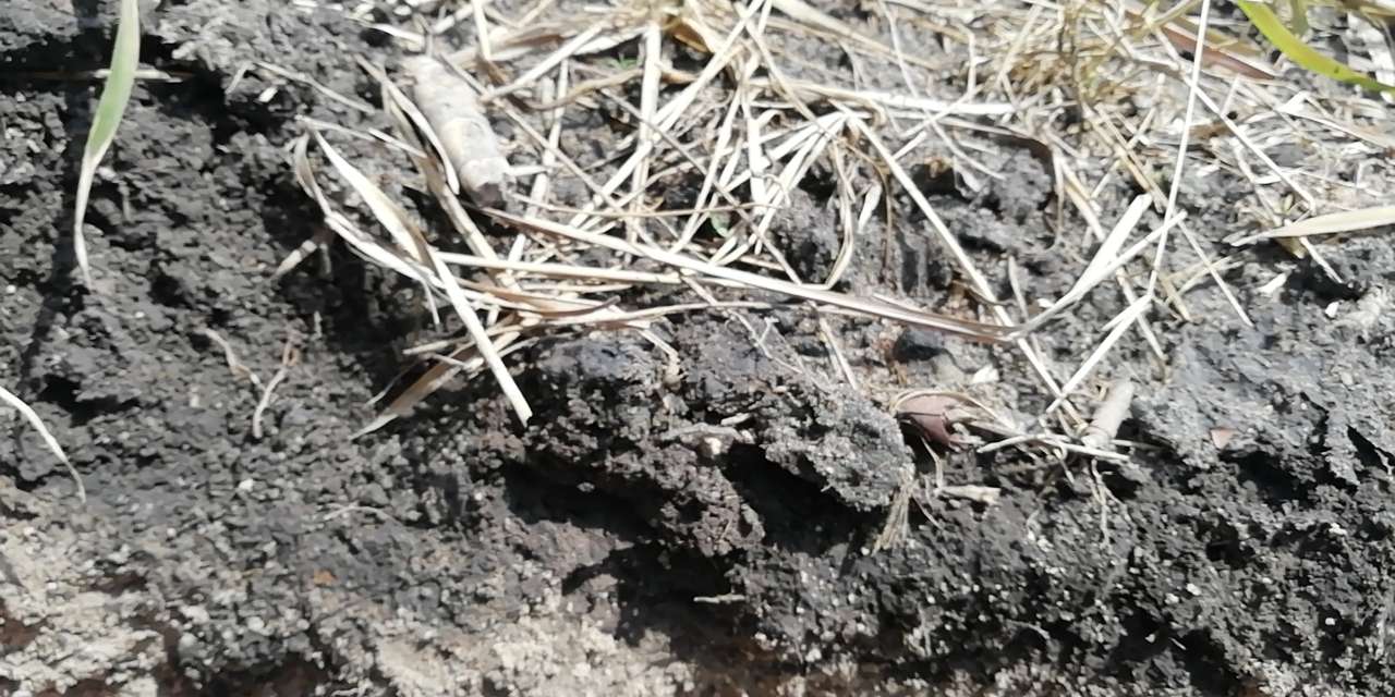 20191201_67855_1575213172619.jpg