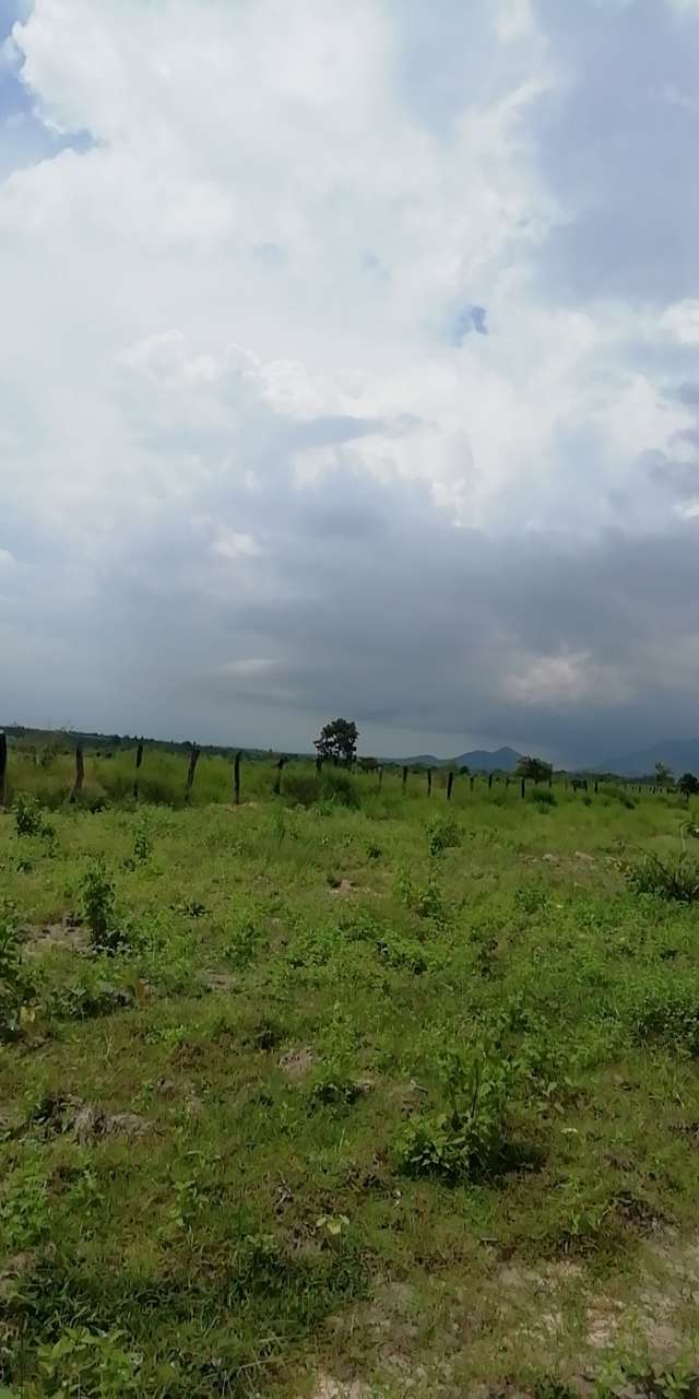 20191202_67855_1575258578256.jpg