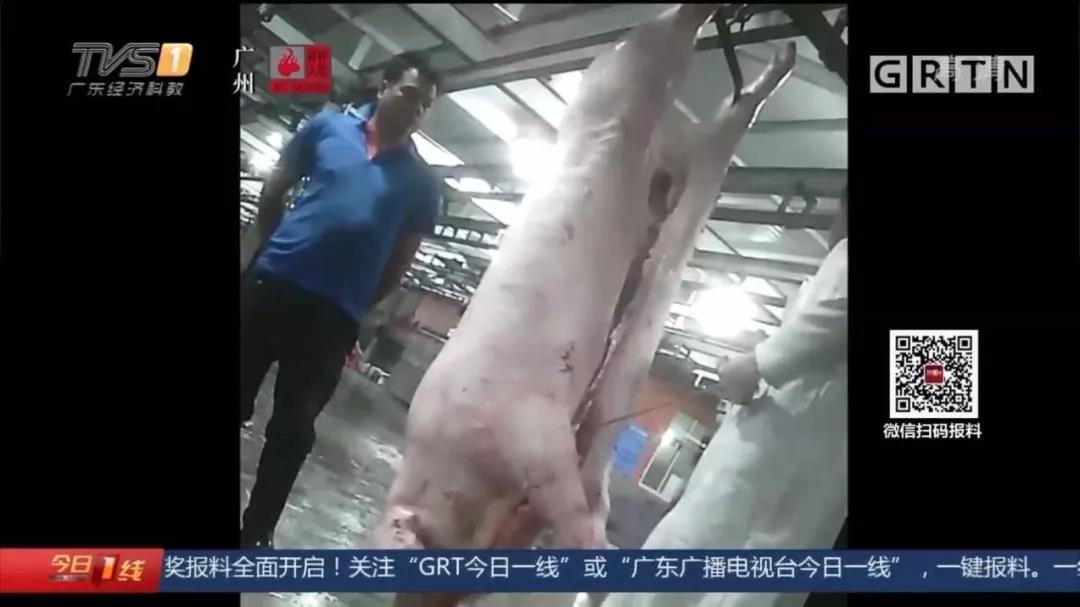 微信图片_20191204125006.jpg