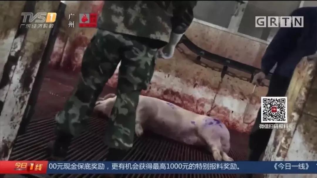 微信图片_20191204125011.jpg