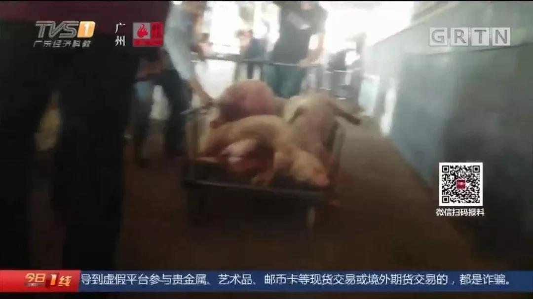 微信图片_20191204125014.jpg