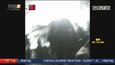 惊呆！病死猪肉竟在正规肉联厂“洗白”，塞钱就能过检，每日流入市场上千斤……-1.gif