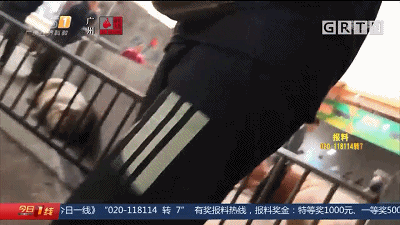 惊呆！病死猪肉竟在正规肉联厂“洗白”，塞钱就能过检，每日流入市场上千斤……-3.gif