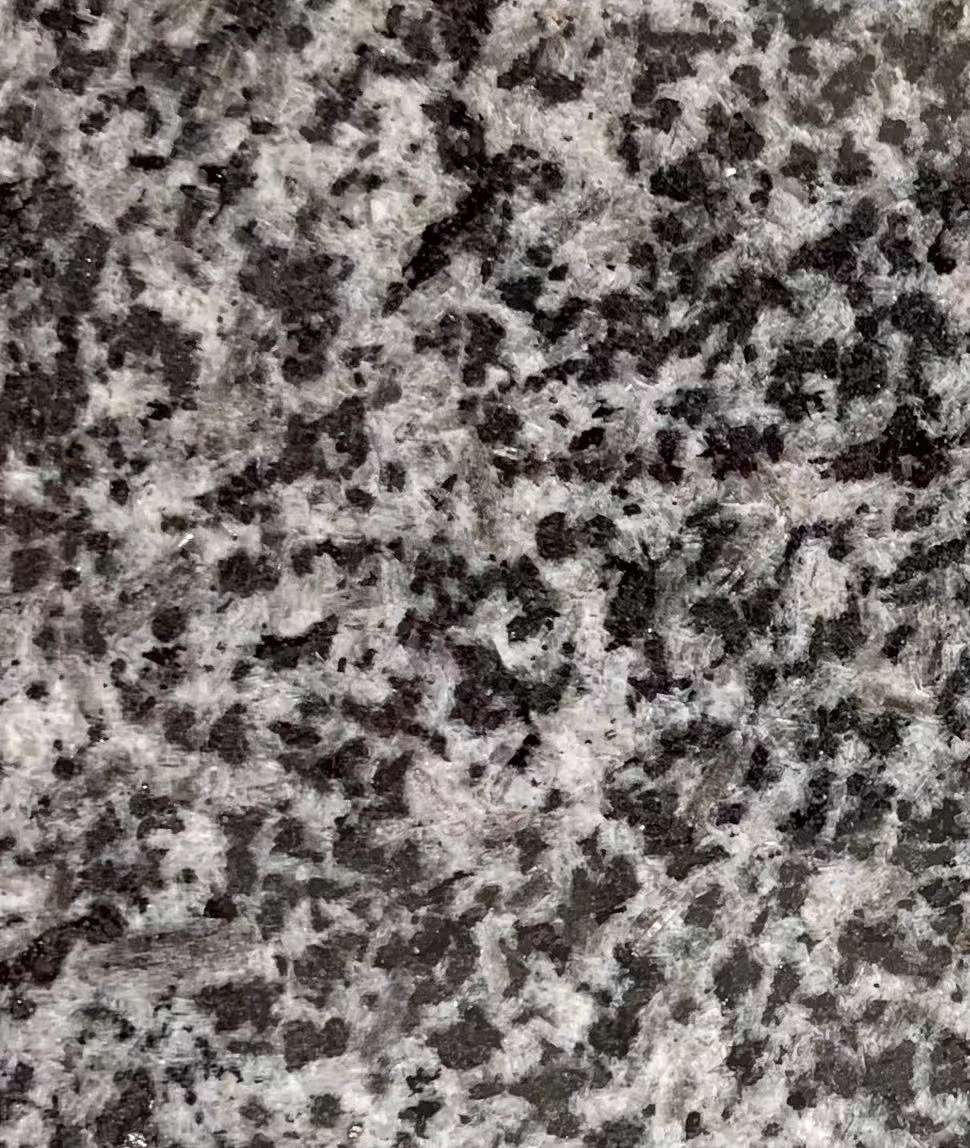20191204_161278_1575462647038.jpg