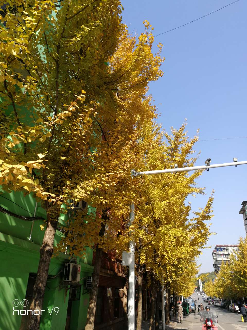 20191207_130187_1575648687899.jpg