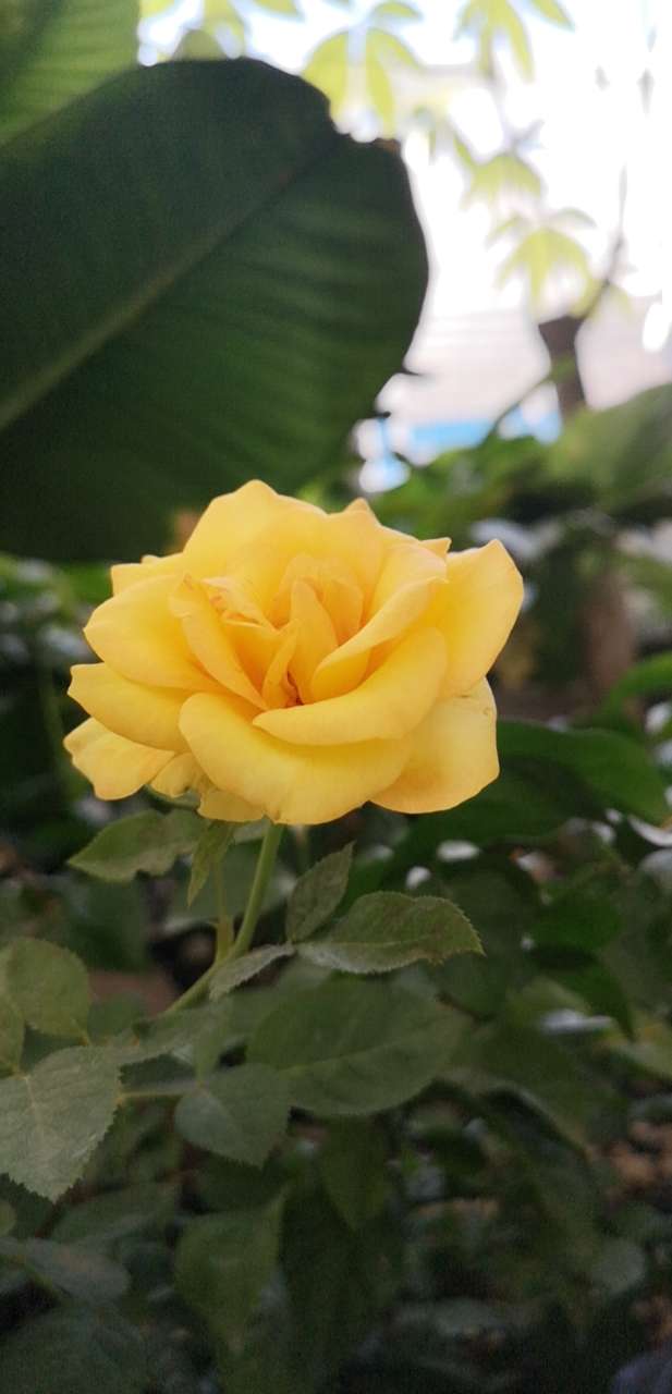 20191207_138070_1575691134500.jpg