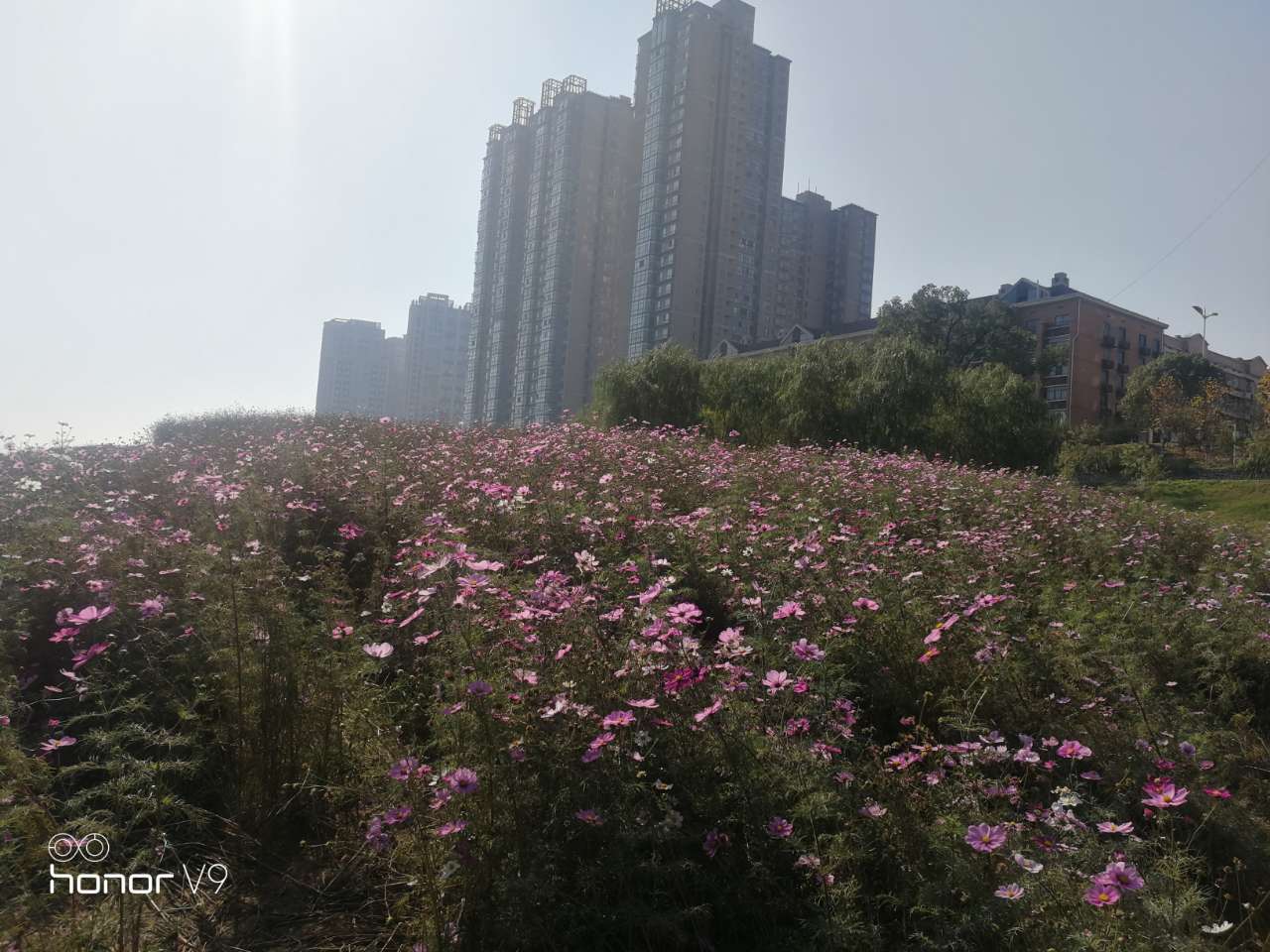 20191208_130187_1575780556907.jpg
