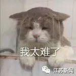 微信图片_20191208182049.jpg