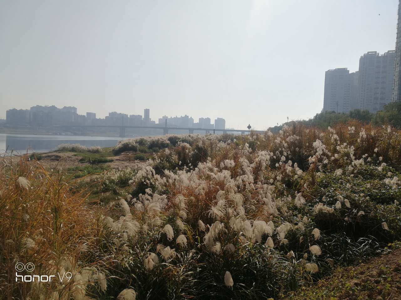 20191209_130187_1575891413585.jpg