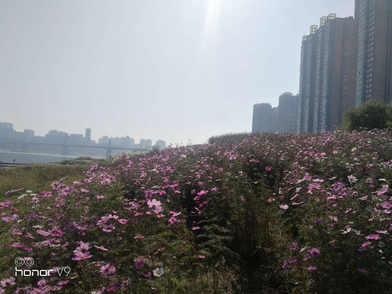 20191209_130187_1575891413761.jpg