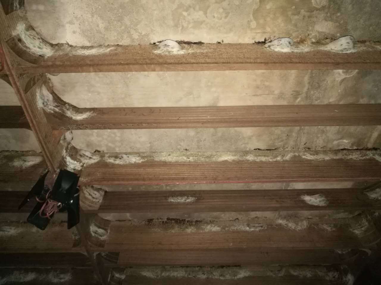 20191210_168867_1575959627491.jpg