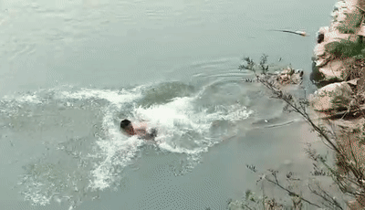 微信图片_20191211114110.gif