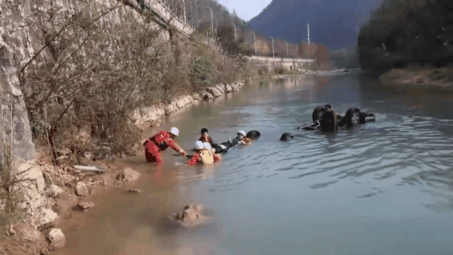 微信图片_20191211114113.gif