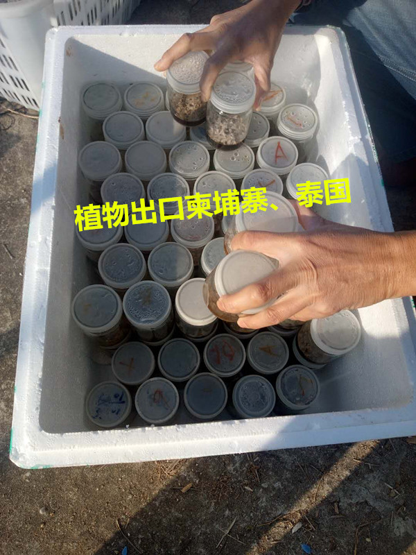 实物图 (1).jpg