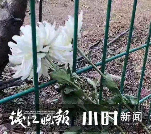 微信图片_20191213111405.jpg