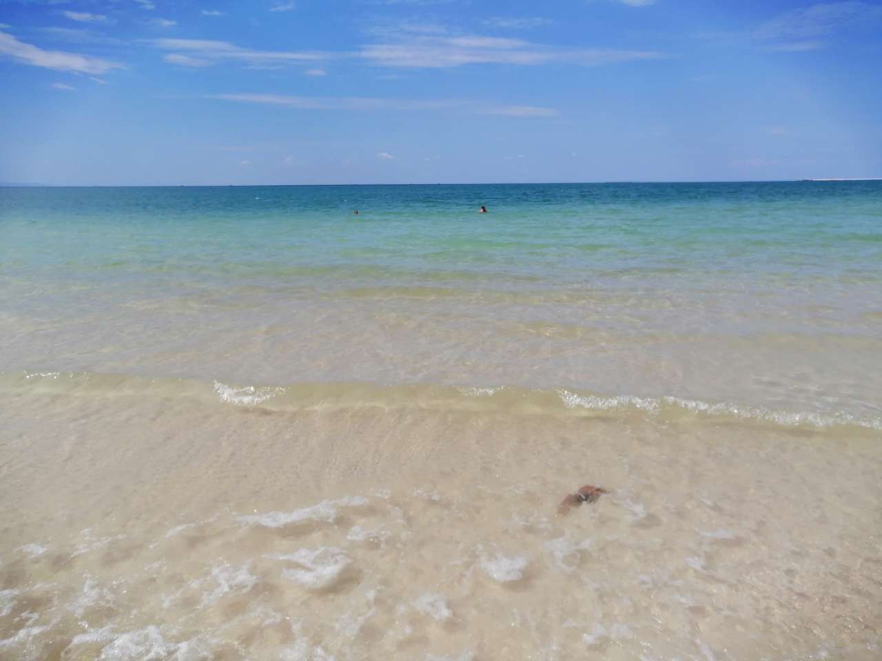 20191219_156762_1576690836065.jpg