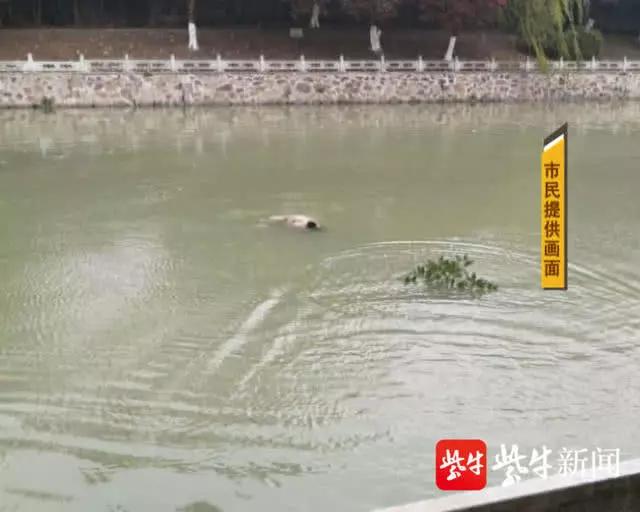 微信图片_20191219094712.jpg