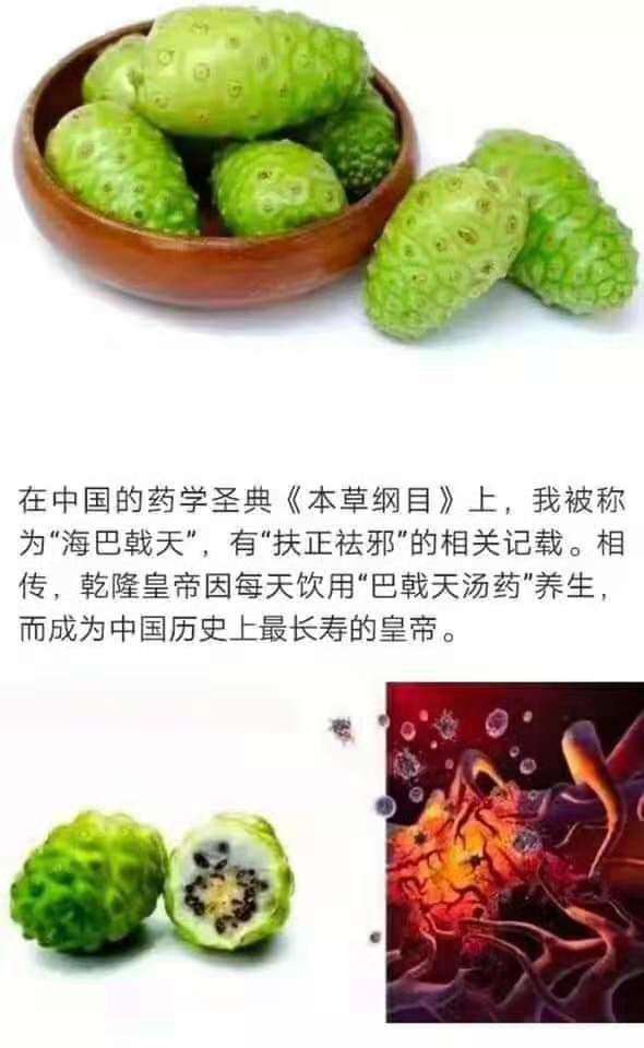 韩国艾多美atom美诺丽果酵素