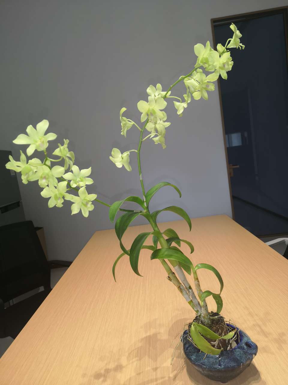 20191220_138070_1576811369509.jpg