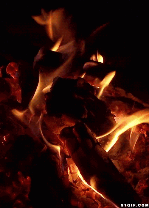 cbf220516973414e85ac8e9729ca4ad6.gif