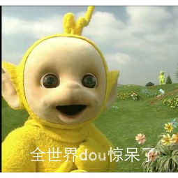 微信图片_20191224113017.jpg