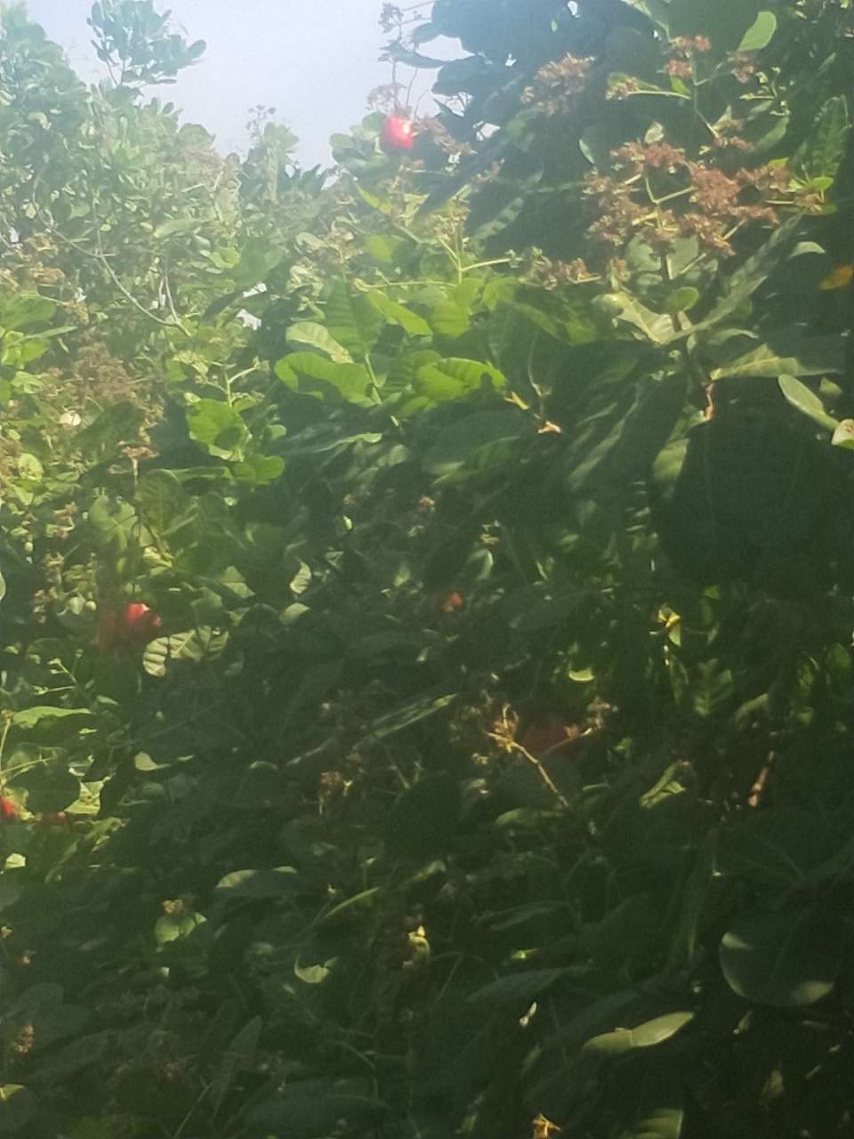 20191225_169970_1577206832371.jpg