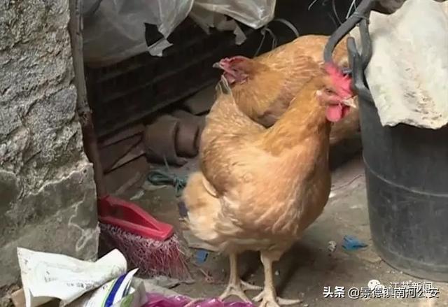 微信图片_20191227144800.jpg