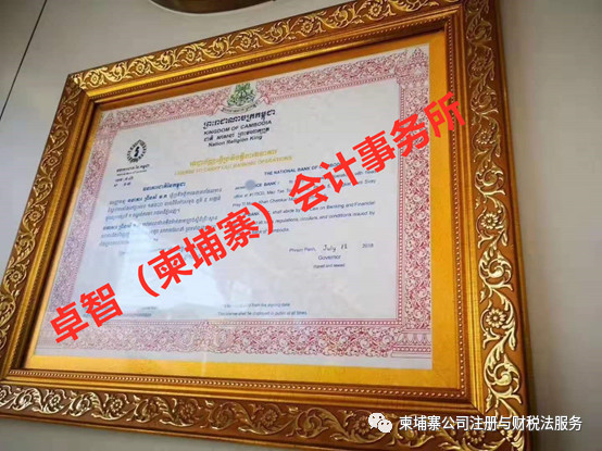 NO 6:小额贷款公司