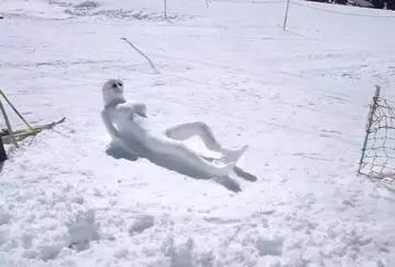 0.jpg