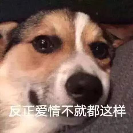微信图片_20200110183340.jpg