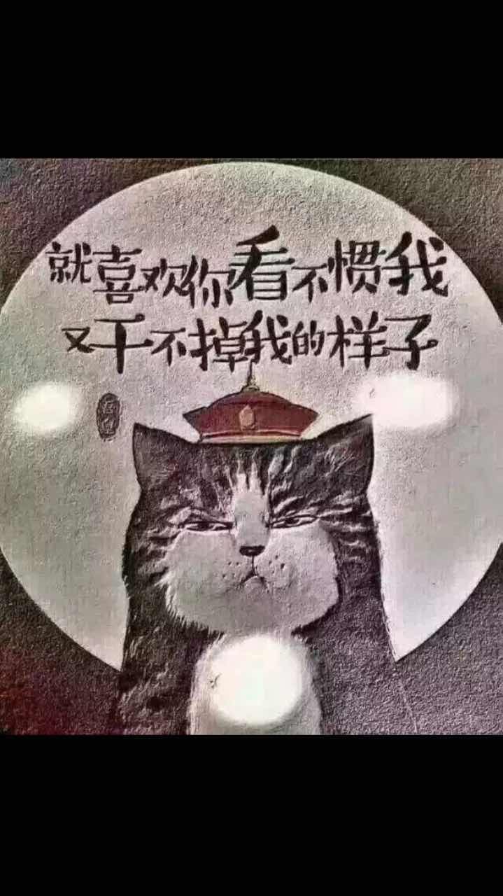 FhknKE4J_nFmWjq_Mb3_CECTnRMk.jpg