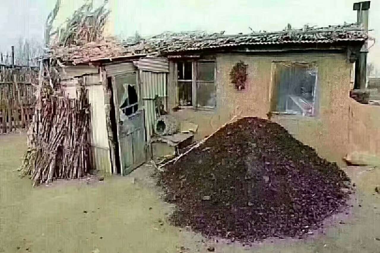 20200113_116447_1578924468322.jpg