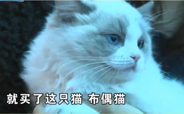 微信图片_20200115174300.jpg