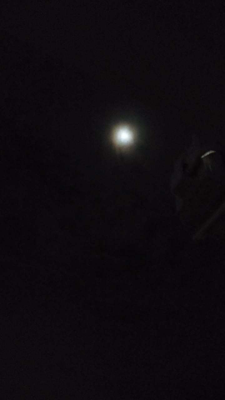 20200117_124128_1579221368778.jpg