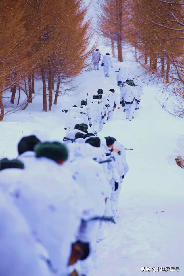 微信图片_20200117141612.jpg