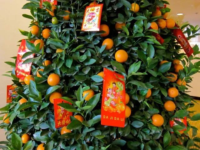 春节不仅仅属于中国，看柬埔寨华人怎么过-1.jpg