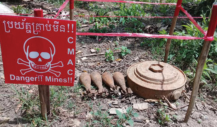 7-1-deminer-4.jpg