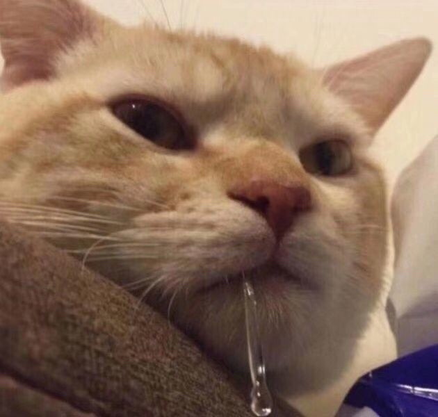 FqaR5hF3jibHWPJBEF-7sKd4rhYh.jpg