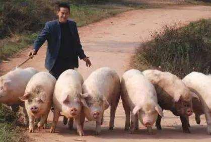 微信图片_20200219155337.jpg